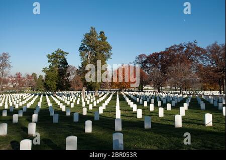 Lignes de pierres tombales au cimetière national d'Arlington, comté d'Arlington, Virginie, États-Unis d'Amérique Banque D'Images