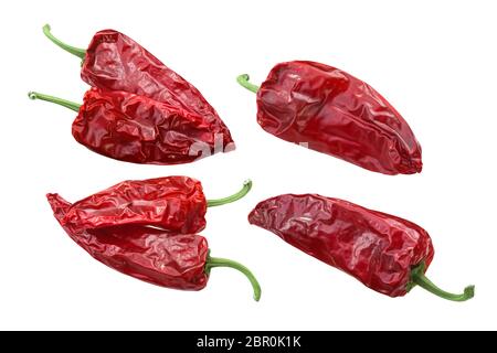 Variété Gorria secs de type Espelette chili piment (Capsicum annuum), fruits mûrs ensemble pods Banque D'Images