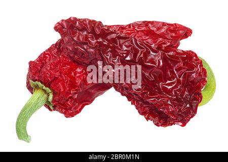 Variété Gorria Basque séché de type Espelette poivrons du chili, les gousses entières (C. annuum), vue du dessus Banque D'Images