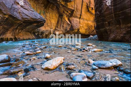 Sion avec étroite rivière vergin dans Zion National Park, Utah, USA. Banque D'Images