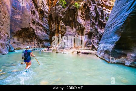 Sion avec étroite rivière vergin dans Zion National Park, Utah, USA. Banque D'Images