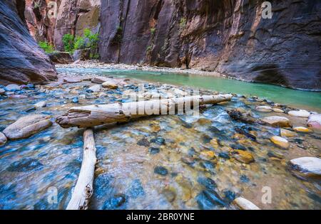 Sion avec étroite rivière vergin dans Zion National Park, Utah, USA. Banque D'Images