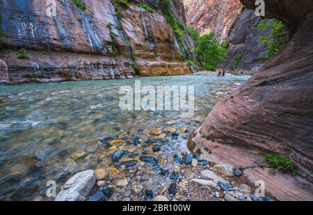 Sion avec étroite rivière vergin dans Zion National Park, Utah, USA. Banque D'Images