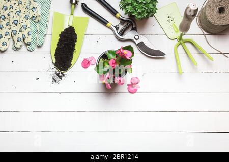 Jardin avec péages et fleurs sur table en bois blanc. Le printemps dans le concept de jardin. Vue de dessus, placer pour le texte. Banque D'Images