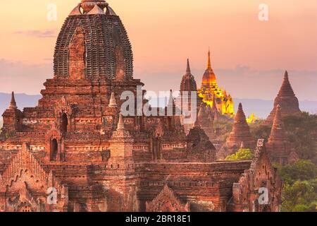 Bagan, les temples du Myanmar dans la zone archéologique au crépuscule. Banque D'Images
