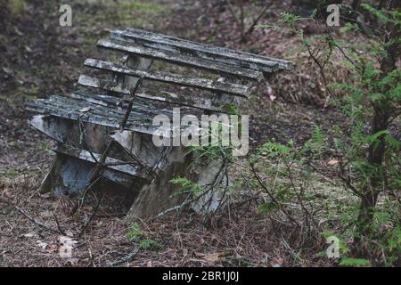 Un vieux banc dans une forêt parsemée de branches et de feuilles. Peinture écaillée. Teinté. Horizontale. Banque D'Images