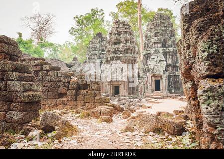 Ruines au temple de Ta Prohm. Angkor, site du patrimoine mondial de l'UNESCO, province de Siem Reap, Cambodge, Asie du Sud-est Banque D'Images