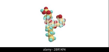 Les fumonisines sont un groupe de mycotoxines provenant du Fusarium. Illustration 3D sur blanc Banque D'Images