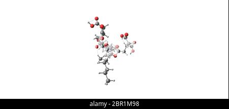 Les fumonisines sont un groupe de mycotoxines provenant du Fusarium. Illustration 3D sur blanc Banque D'Images