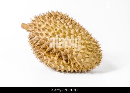 Durian unique sur fond blanc, photographie de la vie. Banque D'Images