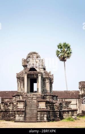 Angkor Wat avec palmier. Site du patrimoine mondial de l'UNESCO, province de Siem Reap, Cambodge, Asie du Sud-est Banque D'Images