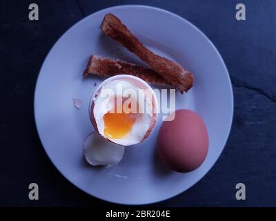 Deux œufs bouillis, dont l'un coupé dans une tasse d'œufs, des tranches de pain grillé sur une assiette blanche Banque D'Images