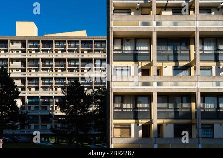 Le domaine d'Alton à Roehampton, Londres. Date de la photo : mardi 19 mai 2020. Photo: Roger Garfield/Alamy Banque D'Images