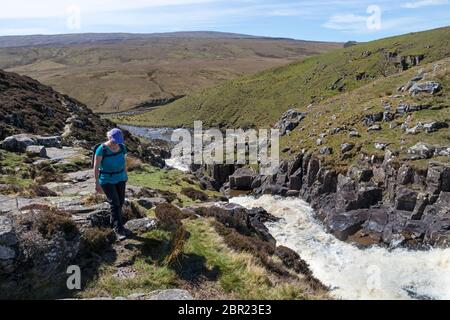 Walker sur la Pennine Way à Cauldron snot, Upper Teesdale, comté de Durham, Royaume-Uni Banque D'Images