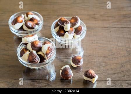 Les coquillages chocolates Banque D'Images