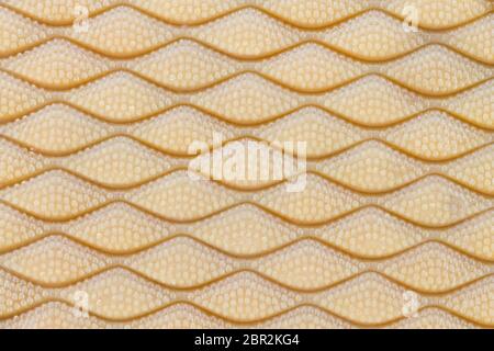 Semelle extérieure à chaussures. Semelle en caoutchouc chaussures de texture. Semelle de chaussure résumé de la texture pour concevoir Banque D'Images