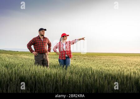 Les jeunes agriculteurs qui ont examiné le blé ont planté de jeunes au printemps Banque D'Images