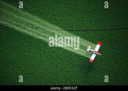 Vue aérienne d'une culture ou de l'applicateur, duster aériennes volant bas, et la pulvérisation de produits chimiques agricoles, sur des champs de pommes de terre en Idaho. Banque D'Images