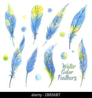 Ensemble de plumes bleu aquarelle. Illustration dessinée à la main Banque D'Images