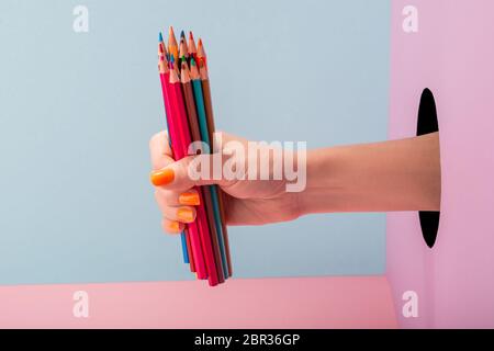Gros plan sur la main de la femme tenant un ensemble de crayons de couleur sur fond bleu et rose Banque D'Images