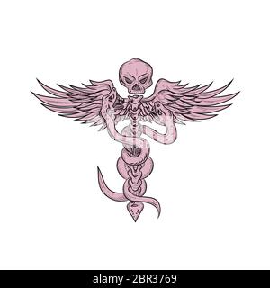 Croquis illustration style de dessin d'un crâne humain avec deux serpent enlacés dans la colonne vertébrale avec des ailes représentant le bâton d'Asclépios ou caduceu Banque D'Images