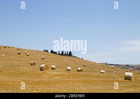 Campagne italienne panorama. Les balles rondes sur champ de blé. L'agriculture, de la vie rurale Banque D'Images