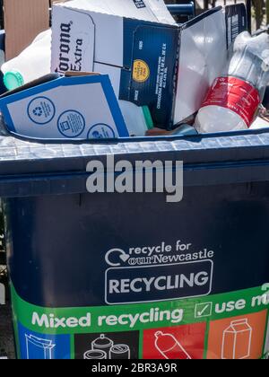 Bac de recyclage complet avec boîte de bière supplémentaire corona, prise à Newcastle upon Tyne Banque D'Images