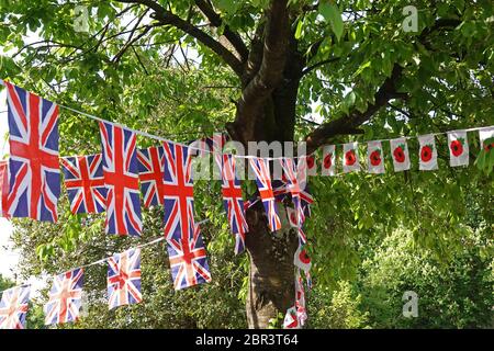 Drapeau de l'Union et drapeau du pavot accrochant à l'ombre d'un arbre sur un village vert au Royaume-Uni Banque D'Images