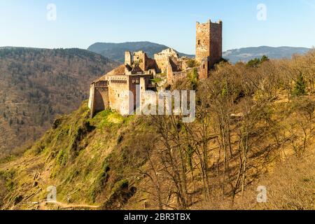 Château de Saint-Ulrich près de Ribeauvillé, France Banque D'Images