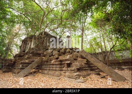 Ruines au Temple Jungle de Beng Mealea. Angkor, site du patrimoine mondial de l'UNESCO, province de Siem Reap, Cambodge, Asie du Sud-est Banque D'Images