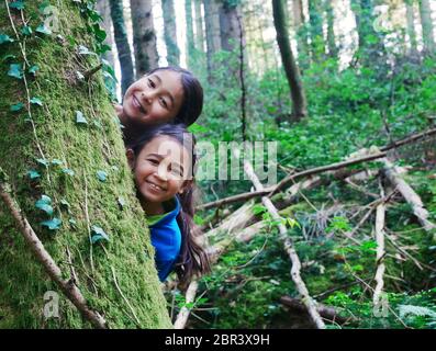 Deux filles se cachent derrière un arbre tout en randonnée dans les bois Banque D'Images