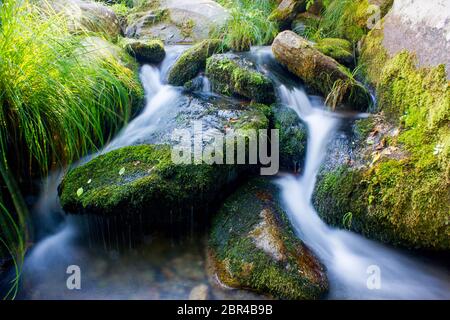 pierres avec mousse dans le ruisseau et l'eau avec effet soie Banque D'Images