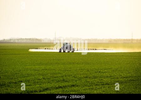 Le tracteur, à l'aide d'un pulvérisateur, pulvérise des engrais liquides sur du blé jeune dans le champ. L'utilisation de produits chimiques pulvérisés finement dispersés. Banque D'Images