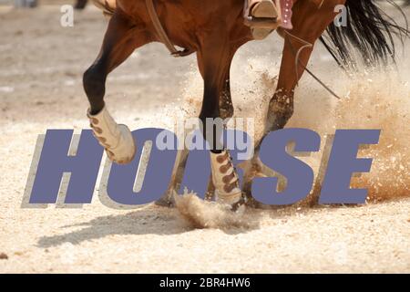 Le mot CHEVAL écrit sur une photo de chevaux galopant comme arrière-plan Banque D'Images
