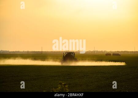 Le tracteur, à l'aide d'un pulvérisateur, pulvérise des engrais liquides sur du blé jeune dans le champ. L'utilisation de produits chimiques pulvérisés finement dispersés. Banque D'Images