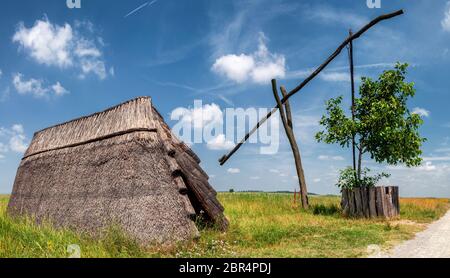 Dessiner bien et roseau cottage dans la chatzta, Parc National du Lac Neusiedl, Burgenland, Autriche Banque D'Images