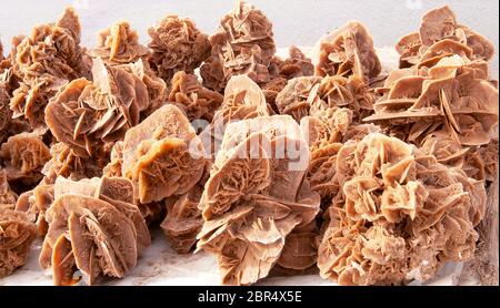 Rose désertique, formations de grappes de cristaux de gypse ou de baryte, qui comprennent d'abondantes céréales de sable dans le désert du Sahara, en Tunisie Banque D'Images