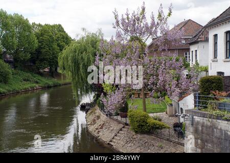 Rur kurz vor der embouchure dans die Maas, Roermond, Limbourg, Pays-Bas Banque D'Images