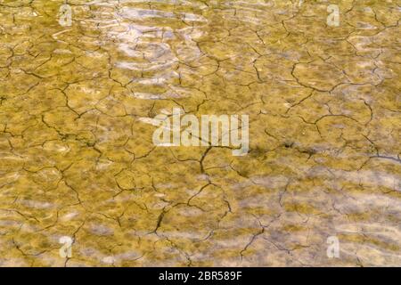 Angle élevé à un gros plan des zones riveraines dans la lagune de saumure la Camargue, une région naturelle du sud de la France Banque D'Images