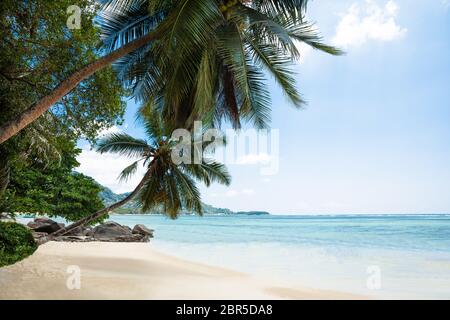 Vue panoramique de Turtle Bay Beach, l'île de Mahé, Seychelles Banque D'Images