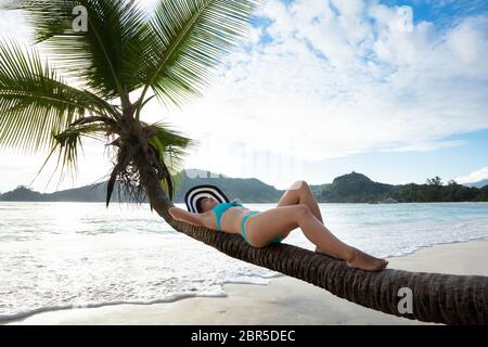 Young Woman in Bikini Lying On Palm Tree sur le sable à la plage Banque D'Images