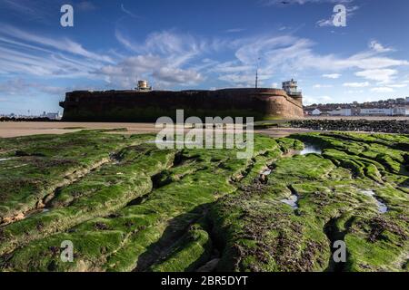 Fort Perch Rock, roches couvertes d'algues à marée basse, New Brighton, péninsule Wirral. Banque D'Images