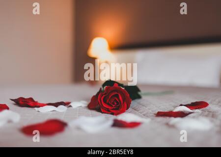 Rose sur le lit dans les chambres d'hôtel. Rose et ses pétales sur le lit pour une soirée romantique Banque D'Images
