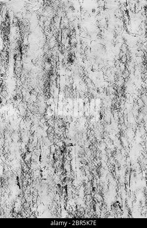 Abstract grunge fond monochrome. Texture avec des rayures, des points, lignes de noir et blanc. Imitation peau de serpent. Imprimé animal. Banque D'Images