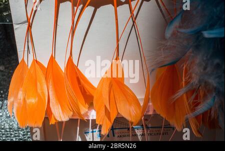 Belles plumes des oiseaux à des fins décoratives Banque D'Images