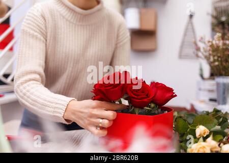 Fleuriste fleuriste femme faisant boîte avec roses rouges. Processus de création de chapeau-boîte avec des fleurs Banque D'Images