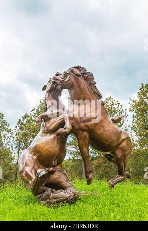 Sculpture de cheval en bronze dans le mémorial de cheval fou, Dakota du Sud, etats-unis. Pour usage éditorial seulement -06/26/15 Banque D'Images