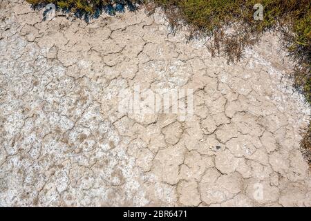 Angle élevé à un gros plan des zones riveraines dans la lagune de saumure la Camargue, une région naturelle du sud de la France Banque D'Images