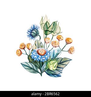 Les bouquet de fleurs sauvages. Illustration à l'aquarelle avec marguerites et tansy. Tanacetum et Bellis perennis. Modèle pour cartes de souhaits, des tissus Banque D'Images