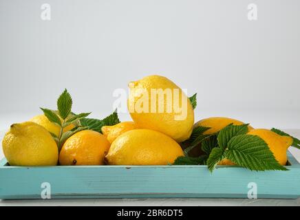 Tout frais mûrs citrons jaune sur une planche de bois bleu, les ingrédients pour la fabrication des boissons d'été, copy space Banque D'Images